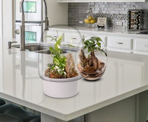 Biogarden, en cualquier espacio de tu hogar u oficina va perfecto