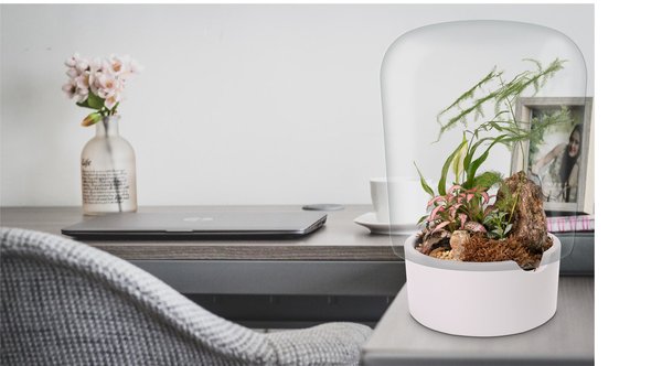 Biogarden,  ideal para regalar o para ese espacio mágico de tu hogar.
