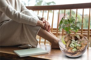 Biogarden es la vida de tu hogar