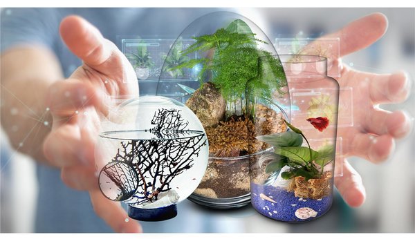 Biogarden.  El Ecosistema en tus manos. Trabaja con nosotros.