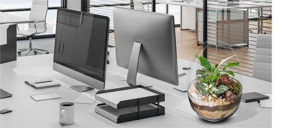 Biogarden,  perfecto para llevar naturaleza en tu espacio de trabajo