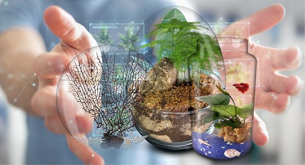 Biogarden,  una colección de ecosistemas elaborados artesanalmente