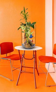 Biogarden aporta luz, vida y color a tu hogar
