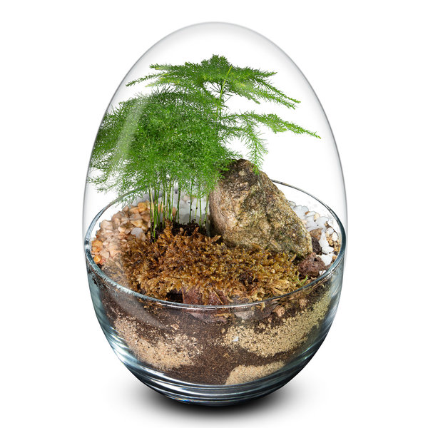 Biogarden,  Ecosistema miniPlant, con un diseño rocoso y musgo muy elaborado.