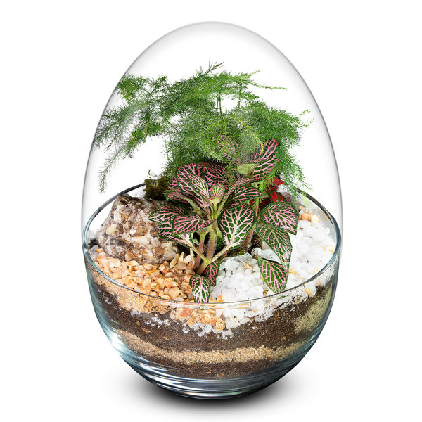 Biogarden. Ecosistema miniPlant,  un regalo muy especial