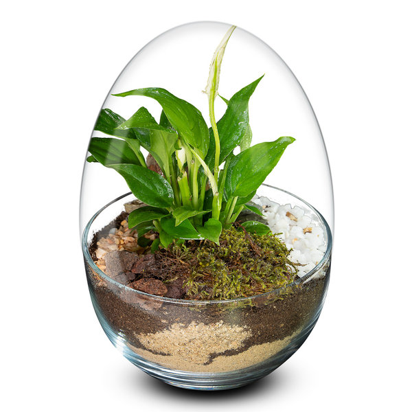 Biogarden miniPlant,  pequeño espacio,  grande en color y vida.
